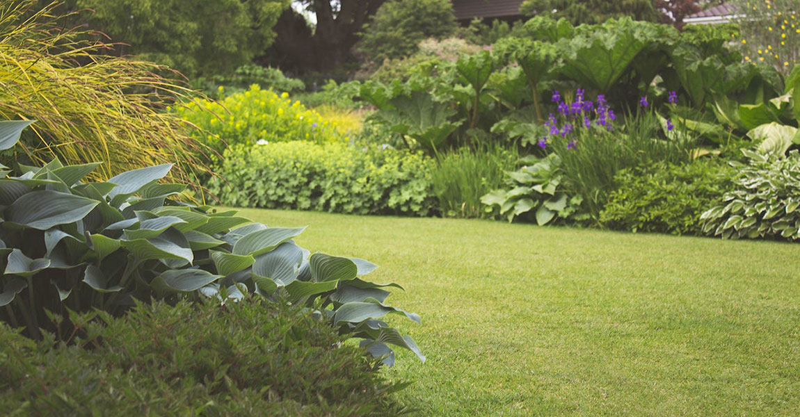 digital_marketing_past_cv